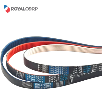 Correas PK de distribución del motor moldeadas en color-/alternador y correa hidráulica